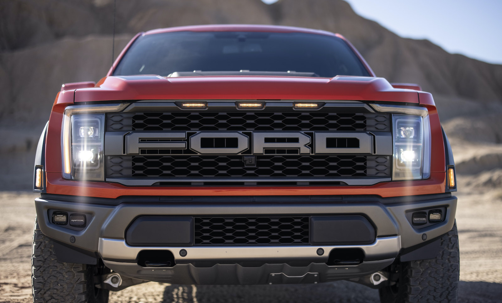 2021 Ford F150 Grille Guard