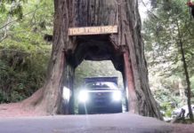 (Video) ABC: Always Be Charging – Camping In an EV Ford F-150 Lightning Is Much Harder Than I Expected! Ep.3 #NorthernLightning