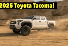 2025 Toyota Tacoma Rolls Into The New Year With A Few Small Tweaks (And A New TRD-Specific Color) 2025 toyota tacoma trd pro price features